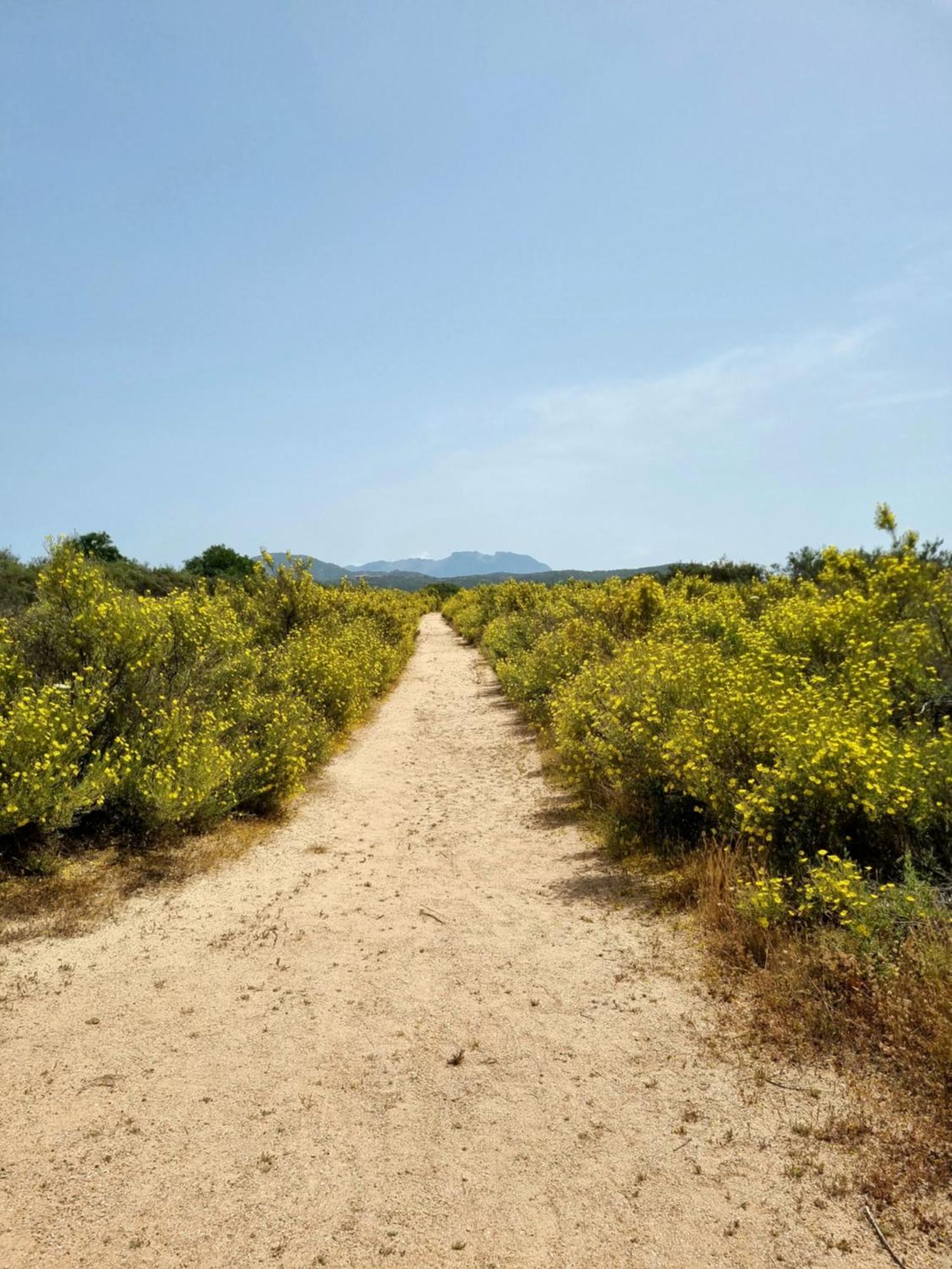 Appartamento Olbia Vecchie Saline 默塔玛丽亚 外观 照片
